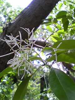 �q�g�c�o�^�S