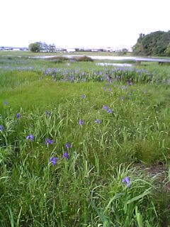 �J�L�c�o�^�̎����n