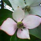 ���}�{�E�V