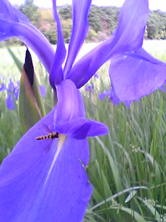 �J�L�c�o�^