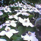 ���}�{�E�V