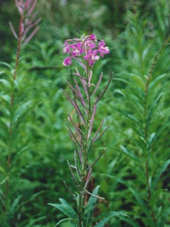 ���i�M����