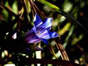 �����h�E